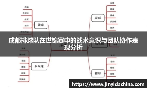 成都排球队在世锦赛中的战术意识与团队协作表现分析